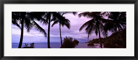 Framed Palm trees on the coast, Colombia (purple sky with clouds) Print