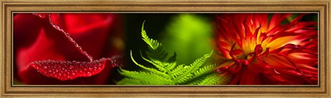 Framed Leaves and red flowers Print