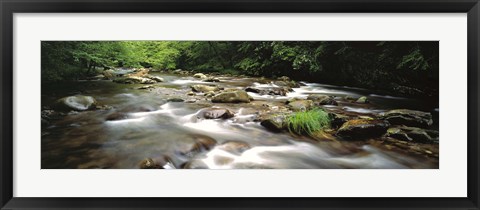 Framed River flowing through a forest, Little Pigeon River, Great Smoky Mountains National Park, Tennessee, USA Print