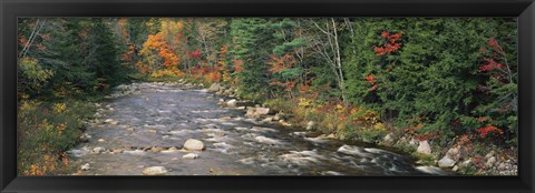 Framed River flowing through a forest, Ellis River, White Mountains, New Hampshire, USA Print