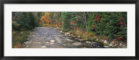 Framed River flowing through a forest, Ellis River, White Mountains, New Hampshire, USA Print