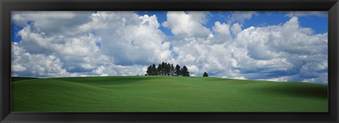 Framed Trees on the top of a hill, Palouse, Whitman County, Washington State, USA Print