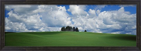 Framed Trees on the top of a hill, Palouse, Whitman County, Washington State, USA Print