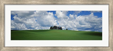 Framed Trees on the top of a hill, Palouse, Whitman County, Washington State, USA Print