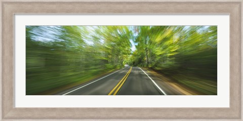 Framed Treelined road viewed from a moving vehicle Print