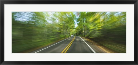 Framed Treelined road viewed from a moving vehicle Print