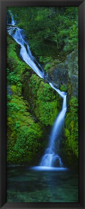 Framed Waterfall in a forest, Sullivan Falls, Opal Creek Wilderness, Oregon, USA Print