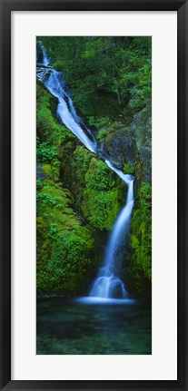 Framed Waterfall in a forest, Sullivan Falls, Opal Creek Wilderness, Oregon, USA Print