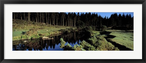 Framed River flowing through a forest, East Dart River, Dartmoor, Devon, England Print