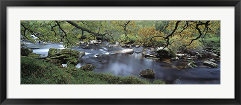 Framed River flowing through a forest, West Dart River, Dartmeet, Devon, England Print