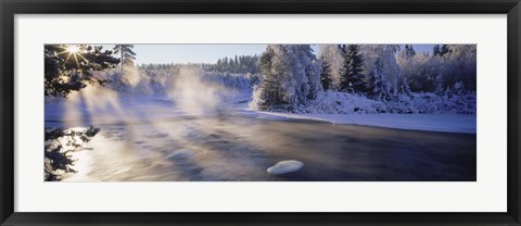 Framed Snow covered laden trees, Dal River, Sweden Print