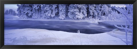 Framed River flowing through a snow covered forest, Dal River, Sweden Print