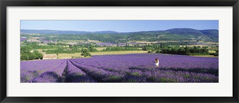 Framed Woman in a field of lavender near Villars in Provence, France Print