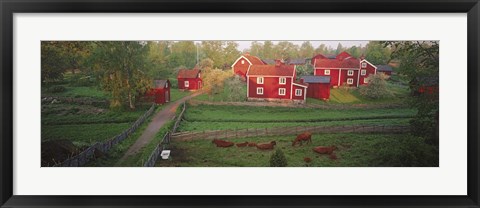 Framed Traditional red farm houses and barns at village, Stensjoby, Smaland, Sweden Print