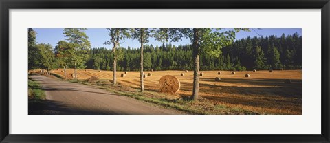 Framed Hay bales in a field, Flens, Sweden Print