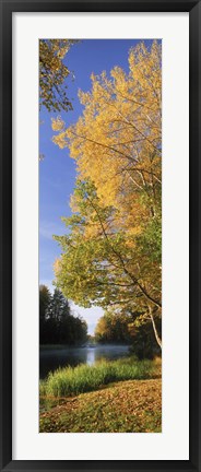 Framed River flowing through a forest, Dal River, Sweden Print