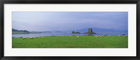 Framed Castle on an island, Glencoe, Loch Linnh, Stalker Castle, Scotland Print