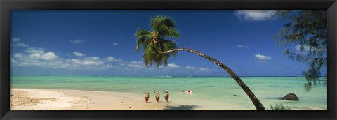 Framed Palm tree extended over the beach, Aitutaki, Cook Islands Print