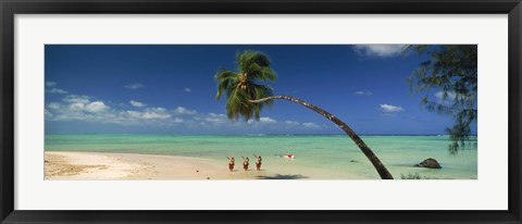 Framed Palm tree extended over the beach, Aitutaki, Cook Islands Print