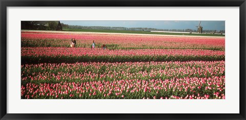 Framed Mother and daughters in field of red tulips, Alkmaar, Netherlands Print