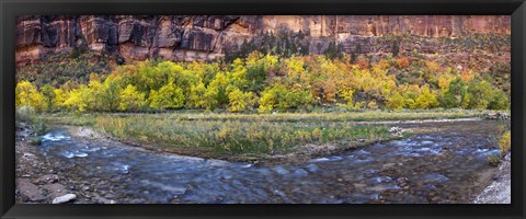 Framed Virgin River at Big Bend, Zion National Park, Springdale, Utah, USA Print