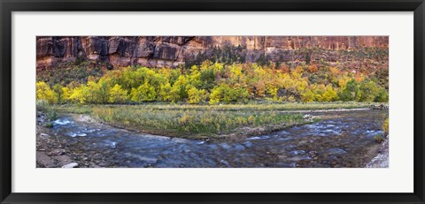 Framed Virgin River at Big Bend, Zion National Park, Springdale, Utah, USA Print