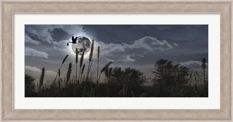 Framed Stork flying with baby in beak over moon Print