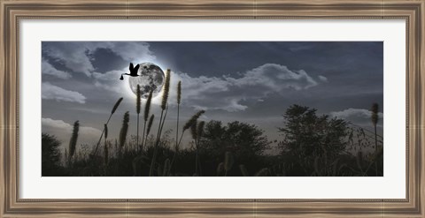 Framed Stork flying with baby in beak over moon Print