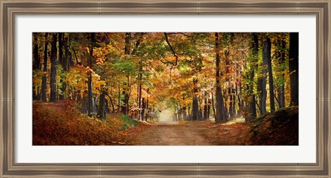 Framed Horse running across road in fall colors Print