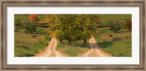 Framed Two dirt roads passing through farms in autumn Print