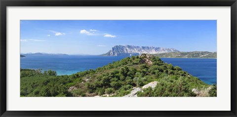 Framed Trees on a hill, Capo Coda Cavallo, Baronia, Sardinia, Italy Print