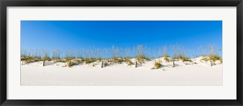 Framed Sand dunes on Gulf Of Mexico, Orange Beach, Baldwin County, Alabama, USA Print