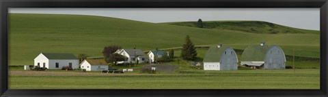 Framed Farm with double barns in wheat fields, Washington State, USA Print