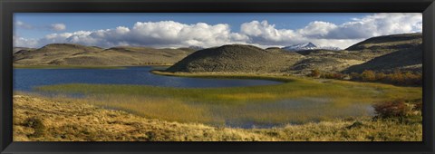 Framed Pond with sedges, Torres del Paine National Park, Chile Print