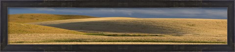 Framed Wheat field, Palouse, Washington State, USA Print