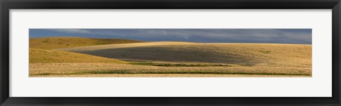 Framed Wheat field, Palouse, Washington State, USA Print