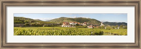 Framed Crop in a vineyard, Weissenkirchen, Wachau, Austria Print