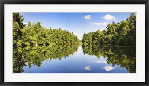 Framed Source of the Neckar River in the Schwenninger moss, Villingen-Schwenningen, Baden-Wurttemberg, Germany Print