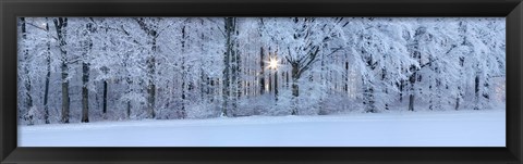 Framed Forest in winter at sunrise, Swabian Alb, Baden-Wurttemberg, Germany Print