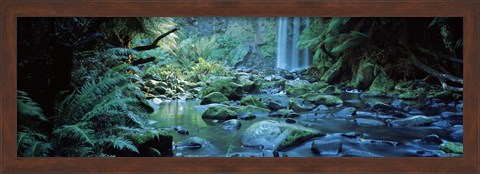 Framed Waterfall in a forest, Hopetown Falls, Great Ocean Road, Otway Ranges National Park, Victoria, Australia Print