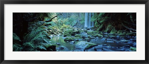 Framed Waterfall in a forest, Hopetown Falls, Great Ocean Road, Otway Ranges National Park, Victoria, Australia Print