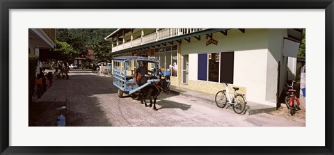 Framed Ox-drawn cart in a street, La Digue Island, Seychelles Print