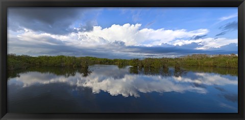 Framed Reflection of clouds on water, Everglades National Park, Florida, USA Print