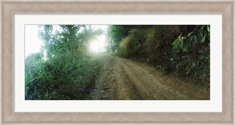 Framed Dirt road through a forest, Chiang Mai Province, Thailand Print