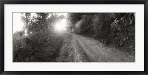 Framed Dirt road through a forest, Chiang Mai Province, Thailand (black and white) Print