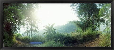 Framed Man with a slingshot in a forest, Chiang Mai, Thailand Print