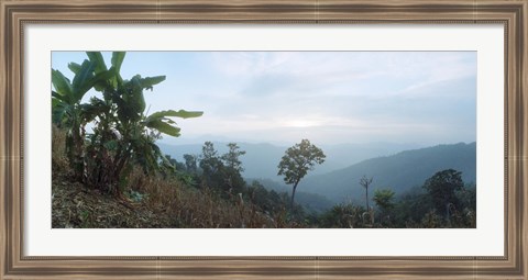 Framed Trees on a hill, Chiang Mai, Thailand Print