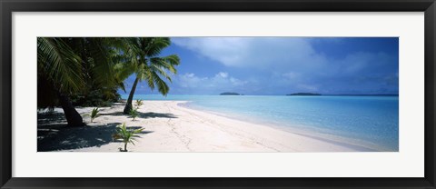 Framed Palm trees on the beach, Tapuaetai, Aitutaki, Cook Islands Print