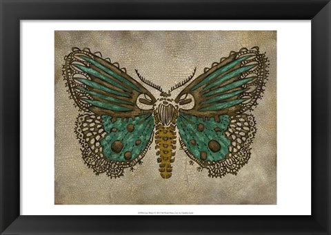 Framed Lace Wing I Print