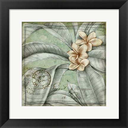 Framed Postmark Tropicals I Print